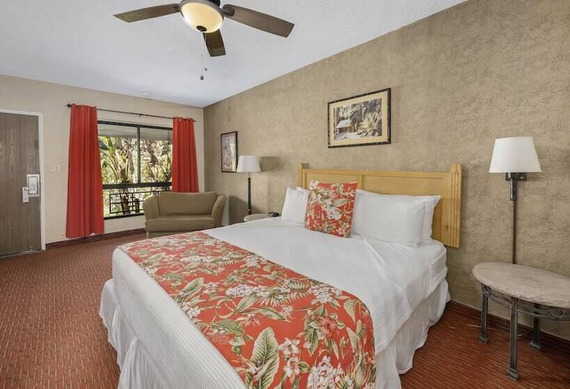 デラックスルーム, Caliente Tropics