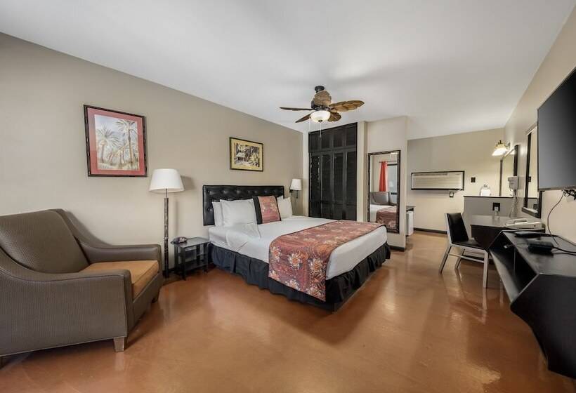 Deluxe Room, Caliente Tropics