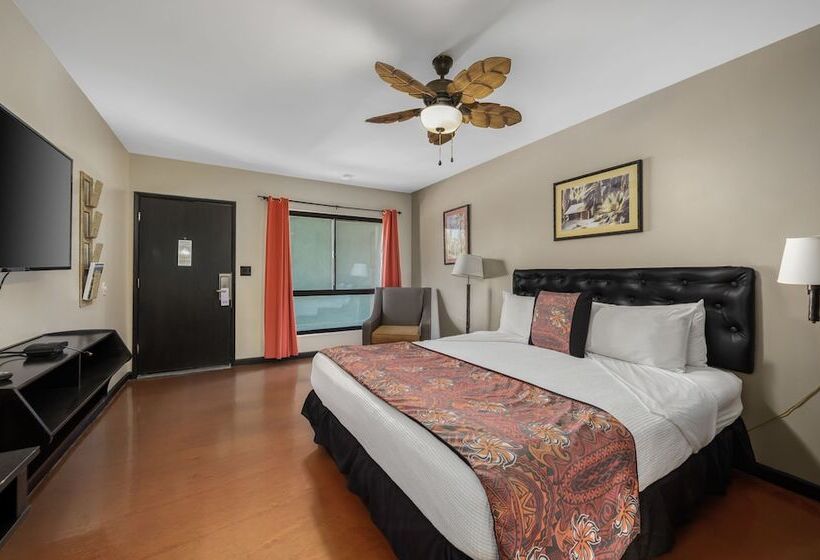 デラックスルーム, Caliente Tropics