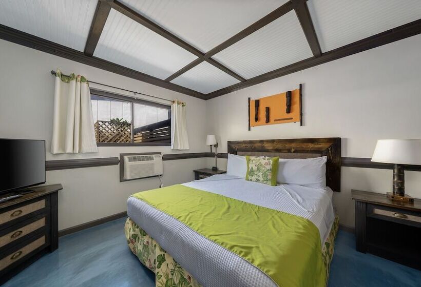 Suite, Caliente Tropics