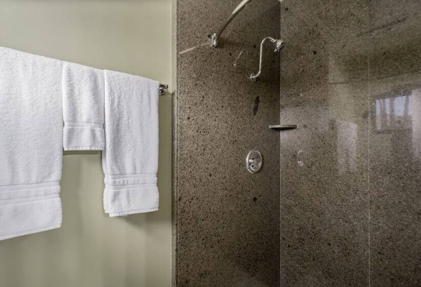 デラックスルーム, Caliente Tropics