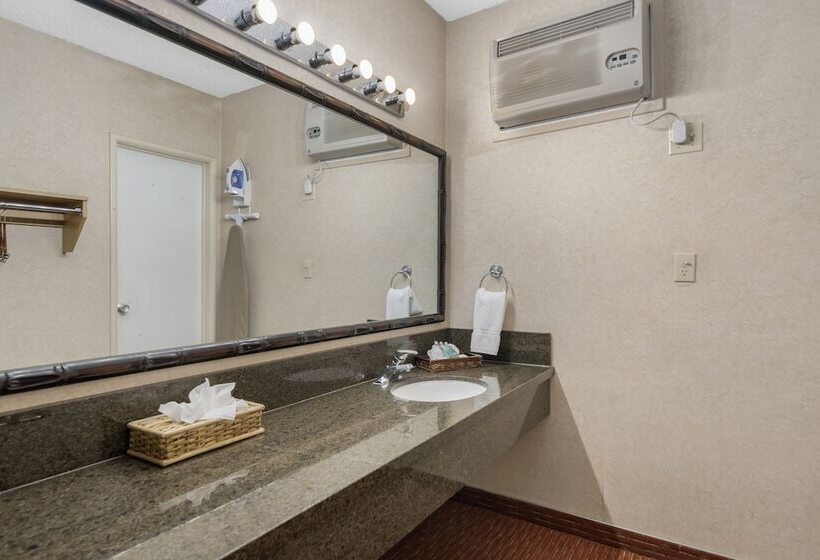 Deluxe Room, Caliente Tropics