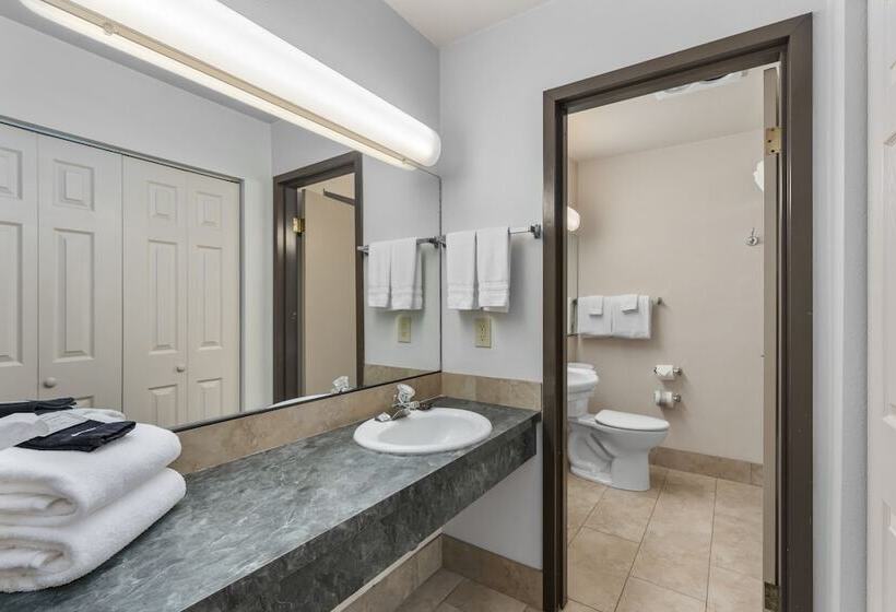 Номер Стандарт 2 Двуспальные Кровати, Cedar Street Hotel & Suites