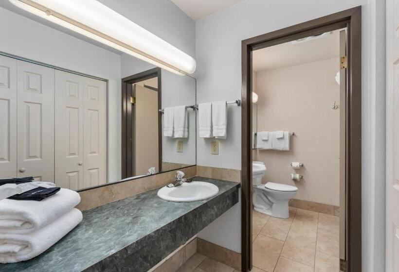 غرفه قياسيه سريرين مزدوجين, Cedar Street Hotel & Suites