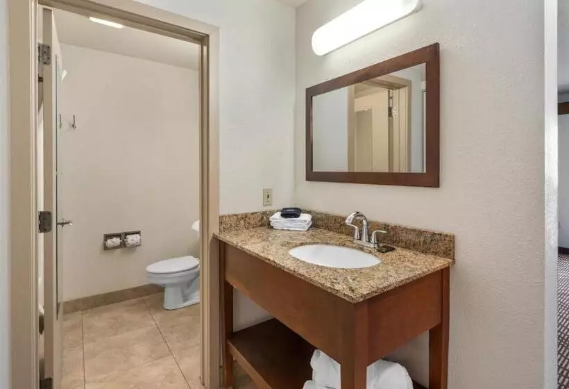 キングサイズベッド、ビュー付きデラックスルーム, Cedar Street Hotel & Suites