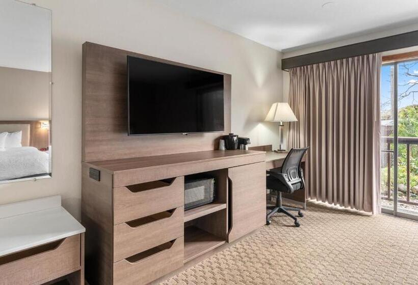 غرفة ديلوكس سرير كينج ذات إطلالة, Cedar Street Hotel & Suites