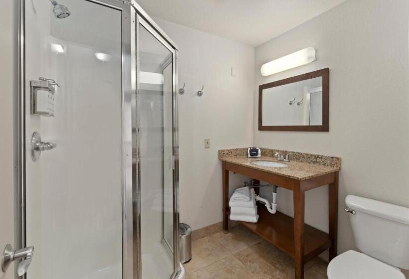 Люкс Кровать Кинг, Cedar Street Hotel & Suites