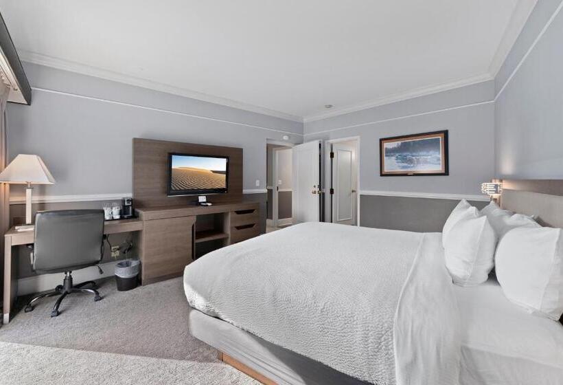 جناح مزود بجاكوزى, Cedar Street Hotel & Suites