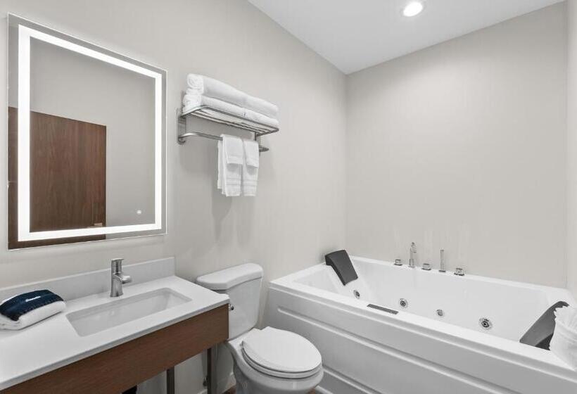 شقة غرفتين, Cedar Street Hotel & Suites