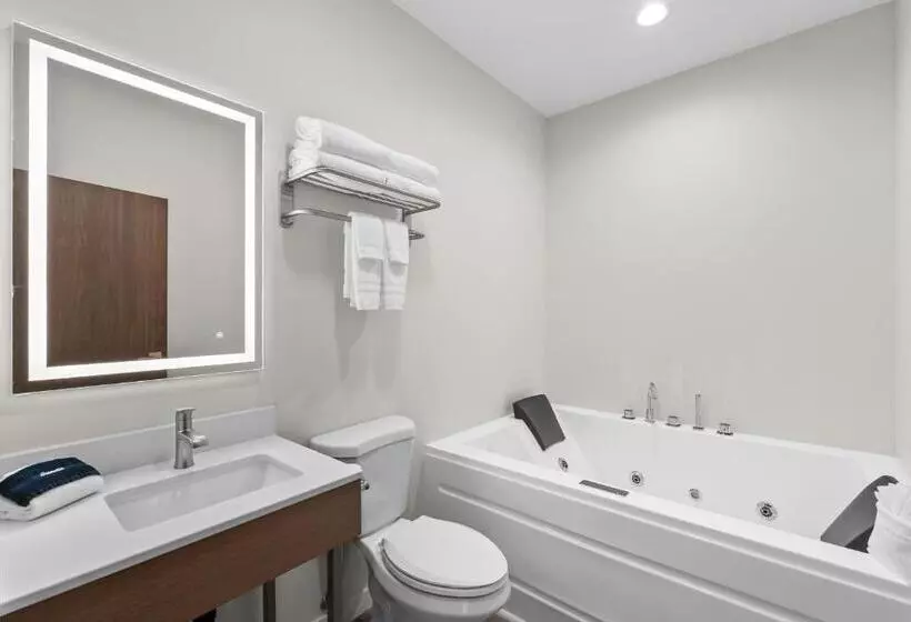 ２ベッドルームアパートメント, Cedar Street Hotel & Suites