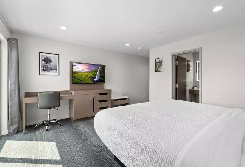 ジュニアスイート, Cedar Street Hotel & Suites