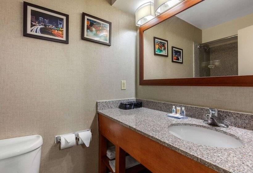 Люкс, Comfort Inn & Suites Nashville Near Tanger Outlets I 24 Antioch