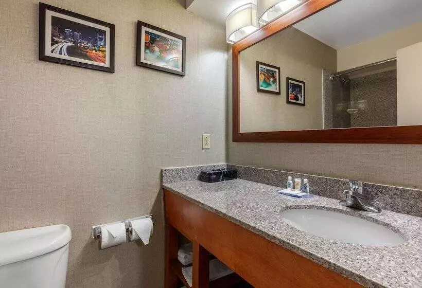 スイート, Comfort Inn & Suites Nashville Near Tanger Outlets I 24 Antioch