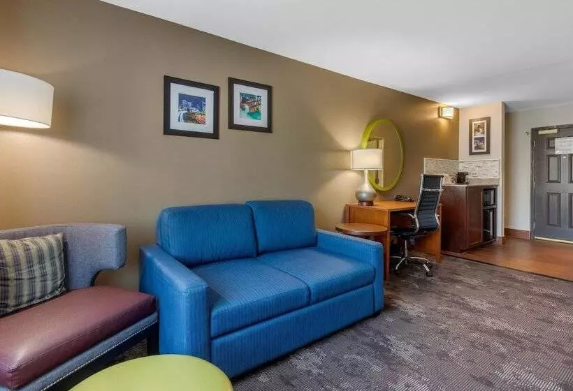 スイート, Comfort Inn & Suites Nashville Near Tanger Outlets I 24 Antioch