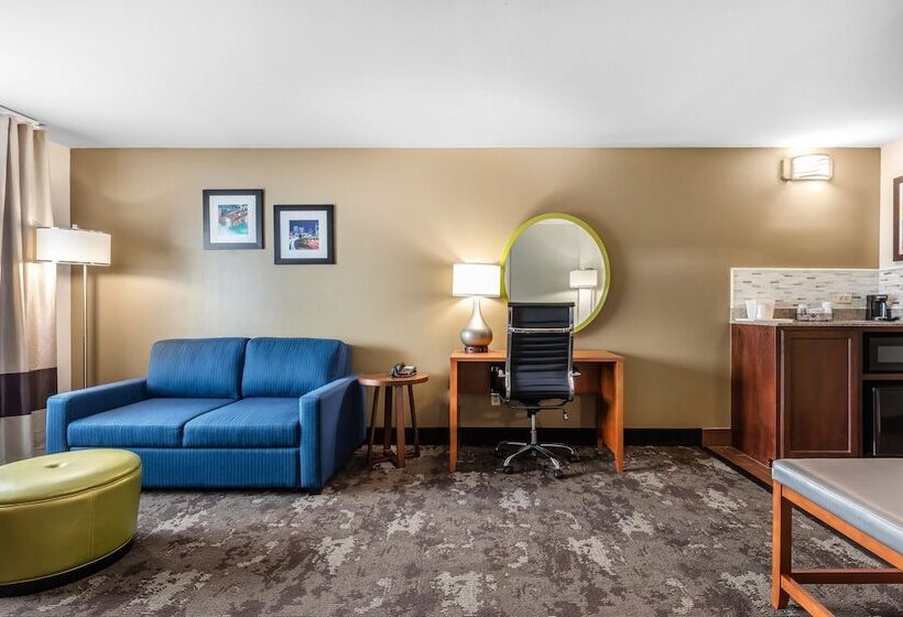 Люкс, Comfort Inn & Suites Nashville Near Tanger Outlets I 24 Antioch