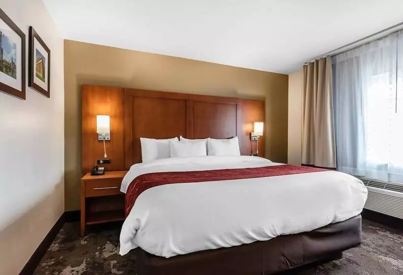 スイート, Comfort Inn & Suites Nashville Near Tanger Outlets I 24 Antioch