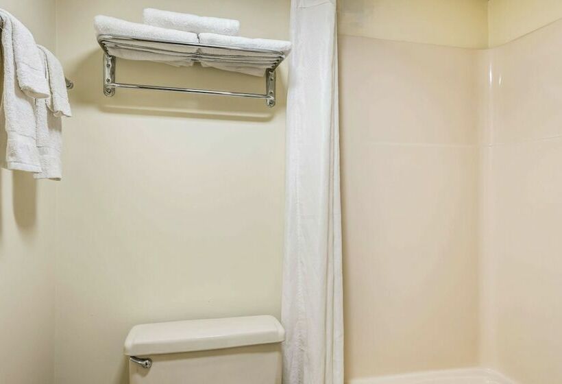 Standard Szoba 2 Franciaággyal, Econo Lodge Quakertown