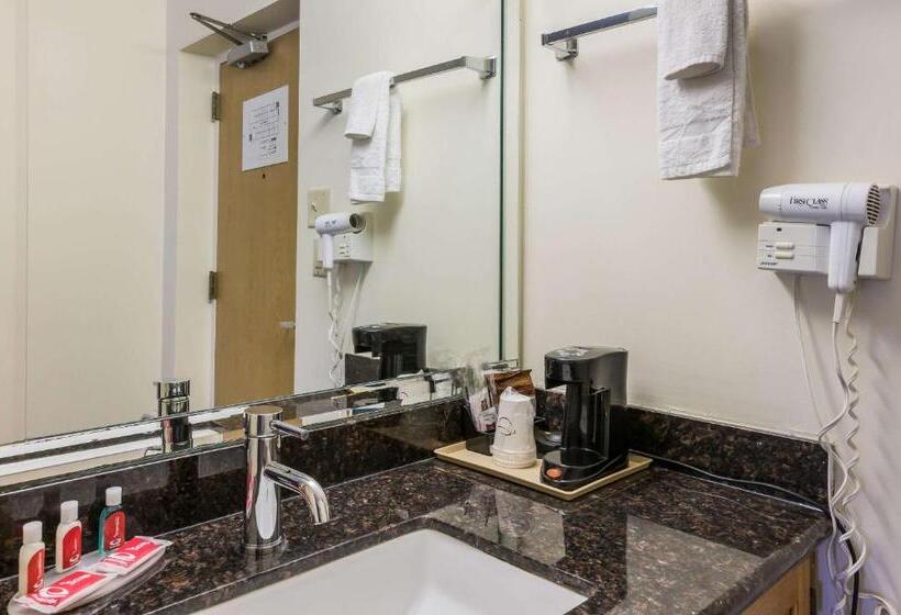 Standard Szoba 2 Franciaággyal, Econo Lodge Quakertown