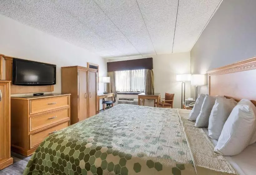 キングサイズベッドのスタンダードルーム, Econo Lodge Quakertown
