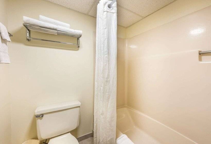 Standard Szoba 2 Franciaággyal, Econo Lodge Quakertown