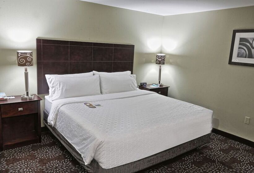 Номер Стандарт, Holiday Inn Express Pittsburgh West   Greentree, An Ihg