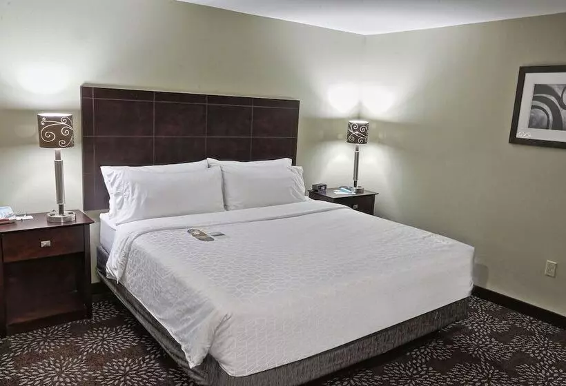 اتاق استاندارد, Holiday Inn Express Pittsburgh West   Greentree, An Ihg