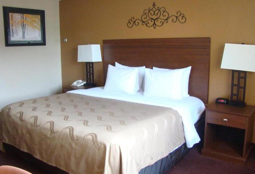 غرفة قياسية سرير كينج, Quality Inn & Suites Downtown