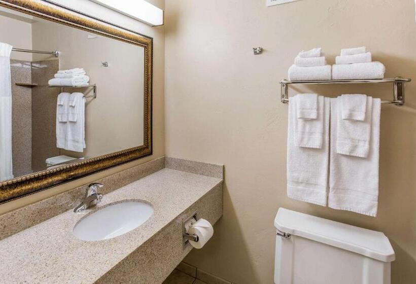 غرفة قياسية سرير كينج, Quality Inn & Suites Downtown