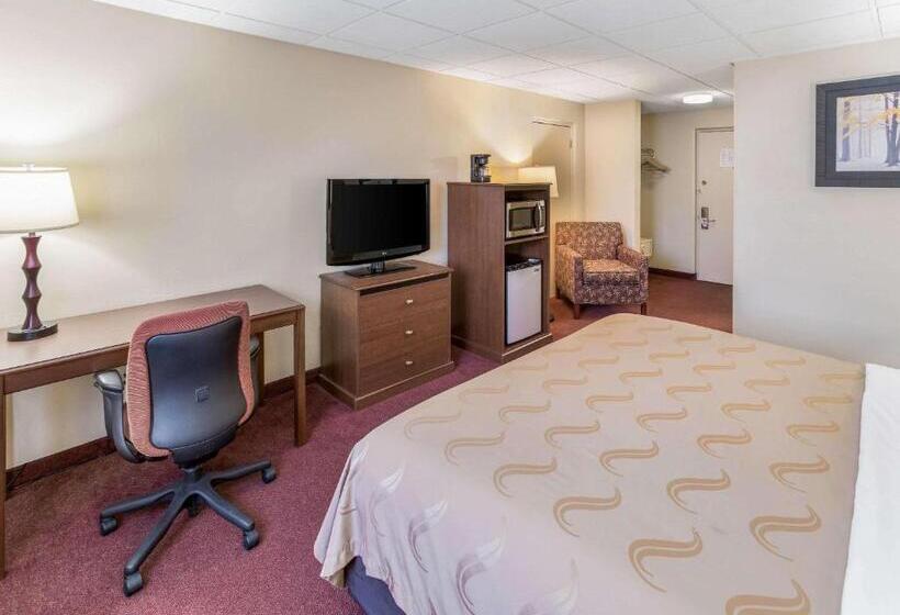 غرفة قياسية سرير كينج, Quality Inn & Suites Downtown