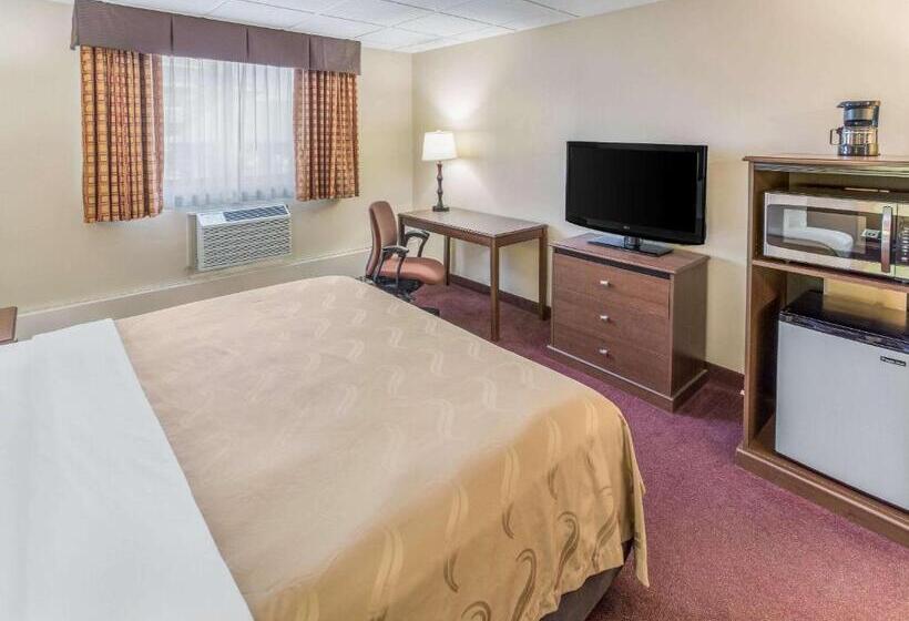스탠다드 룸 킹사이즈 침대, Quality Inn & Suites Downtown