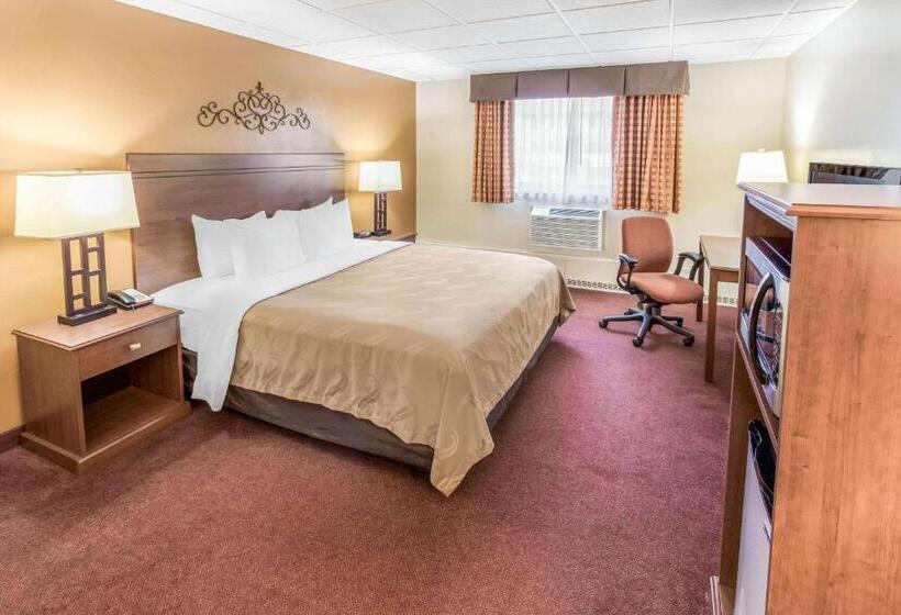 غرفة قياسية سرير كينج, Quality Inn & Suites Downtown