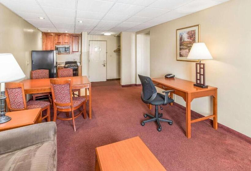 غرفه قياسيه سريرين مزدوجين, Quality Inn & Suites Downtown