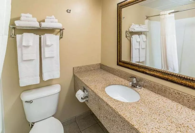 اتاق استاندارد, Quality Inn & Suites Downtown