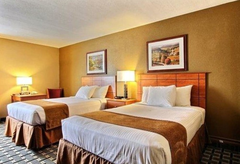 غرفه قياسيه سريرين مزدوجين, Quality Inn
