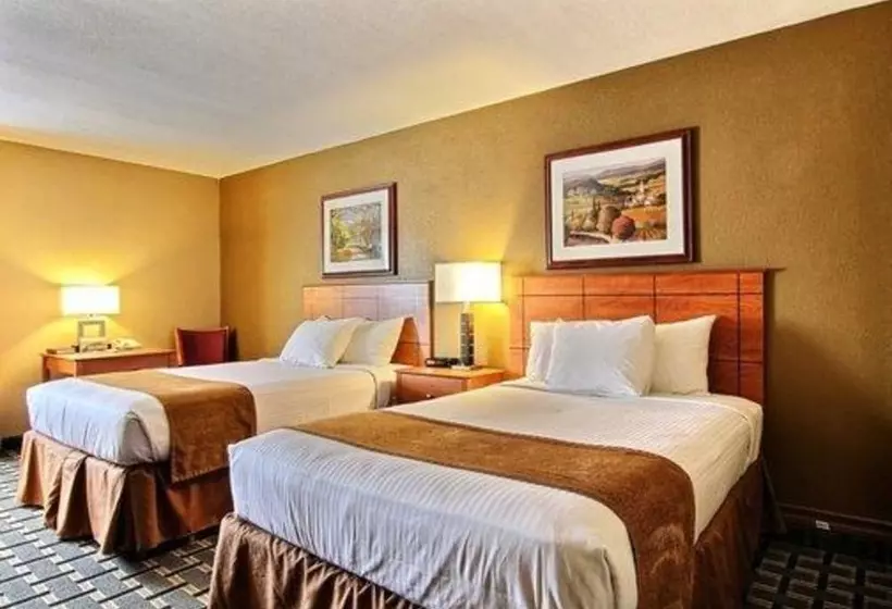 اتاق استاندارد با 2 تخت دوبل, Quality Inn