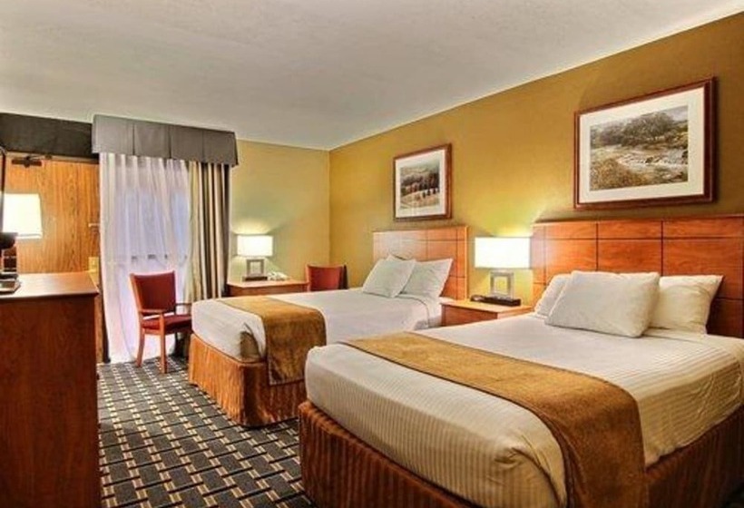 غرفه قياسيه سريرين مزدوجين, Quality Inn