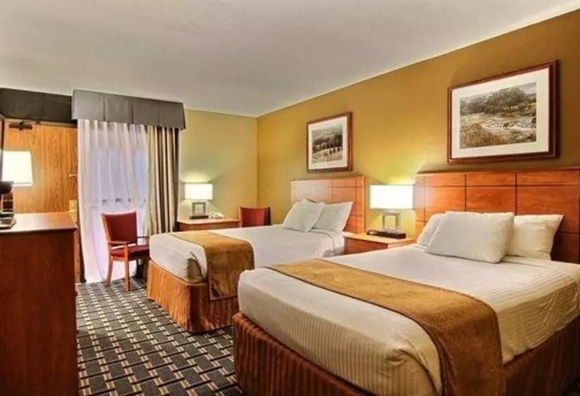 اتاق استاندارد با 2 تخت دوبل, Quality Inn
