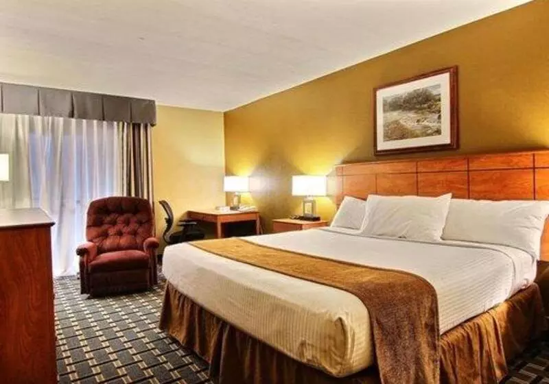 اتاق استاندارد با تخت بزرگ, Quality Inn