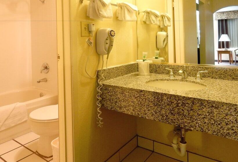 اتاق استاندارد با چشم‌انداز استخر, Mardi Gras Hotel & Casino