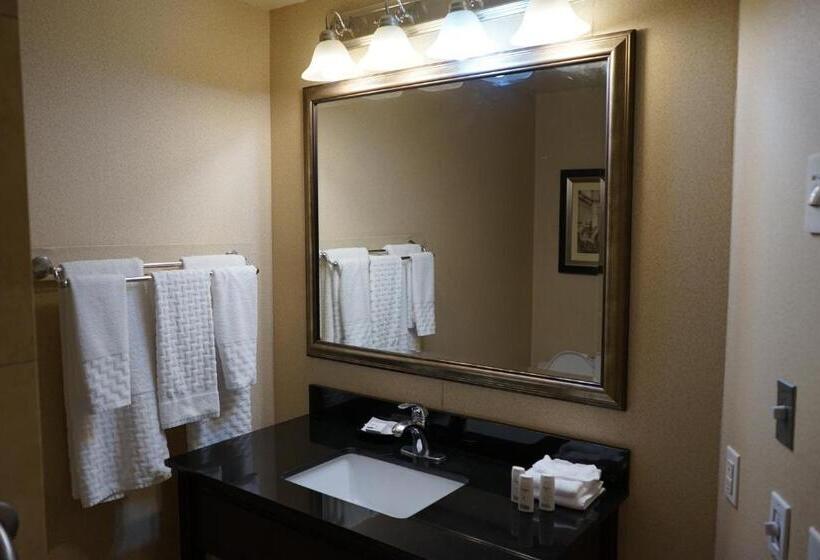 جناح ديلوكس سرير كينج, Wingate By Wyndham Bellingham Heritage Inn