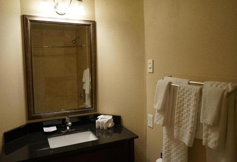 スタンダードルーム, Wingate By Wyndham Bellingham Heritage Inn