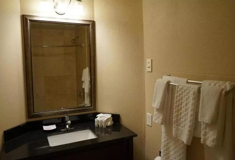 اتاق استاندارد, Wingate By Wyndham Bellingham Heritage Inn