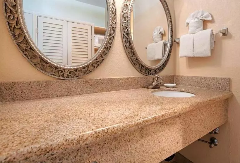 اتاق لوکس با تخت بزرگ, Best Western San Marcos Inn