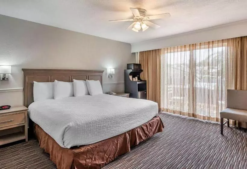 اتاق لوکس با تخت بزرگ, Best Western San Marcos Inn