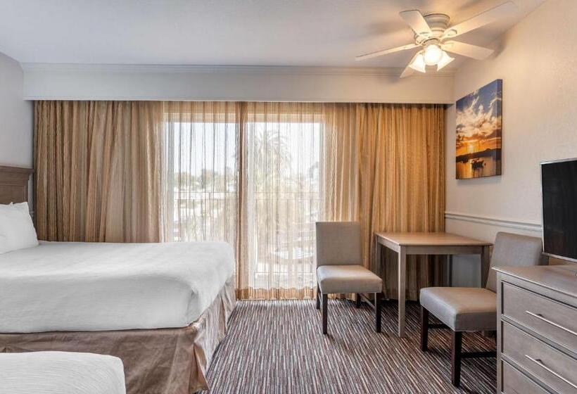 غرفة ديلوكس, Best Western San Marcos Inn