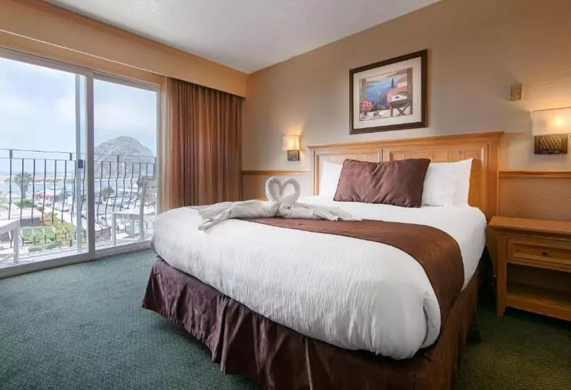 اتاق استاندارد با تخت بزرگ, Best Western San Marcos Inn