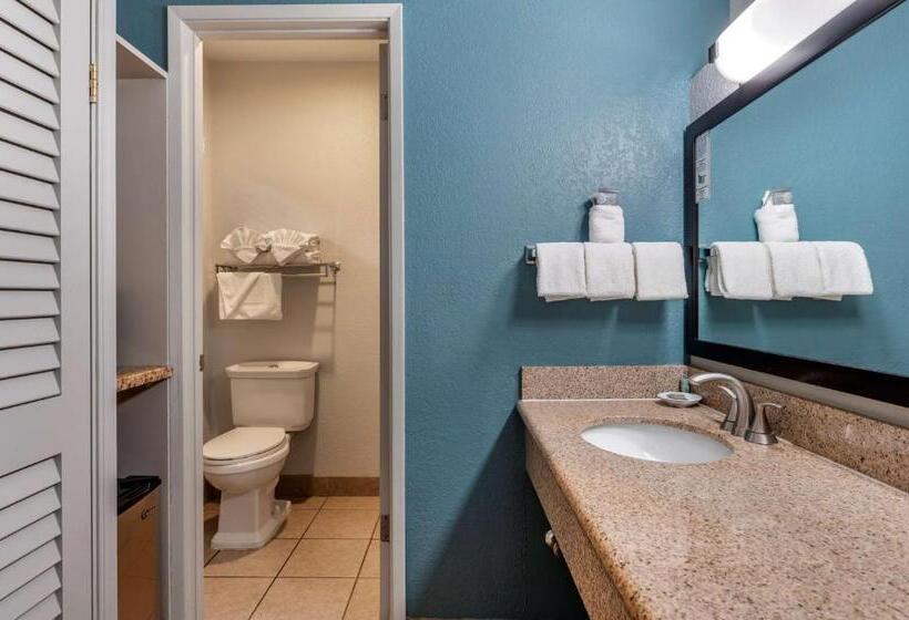 غرفة قياسية سرير كينج, Best Western San Marcos Inn