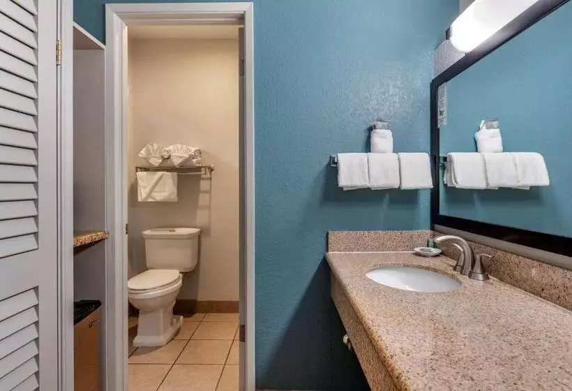 اتاق استاندارد با تخت بزرگ, Best Western San Marcos Inn