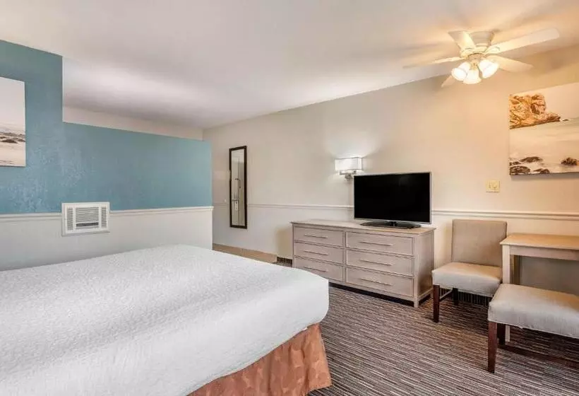 اتاق استاندارد با تخت بزرگ, Best Western San Marcos Inn