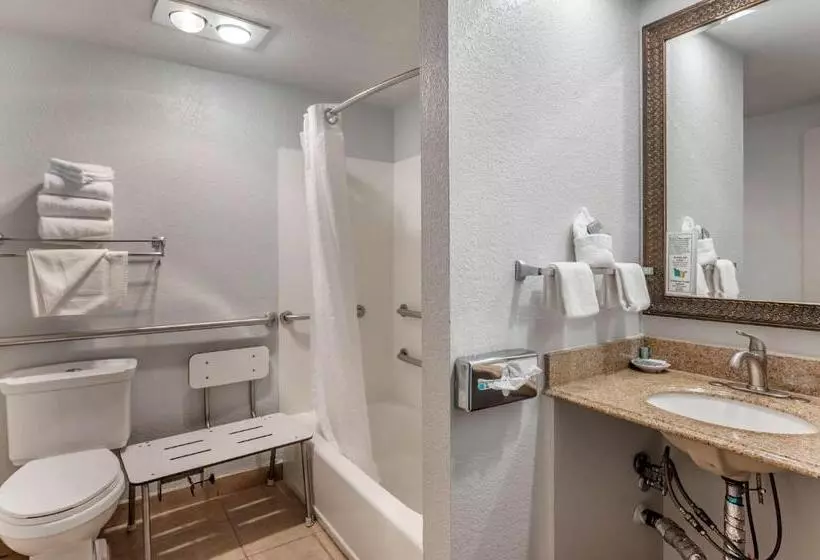 اتاق استاندارد با تخت بزرگ برای معلولان, Best Western San Marcos Inn